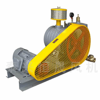 HC-601S水處理曝氣風(fēng)機(jī)的應(yīng)用要點(diǎn)