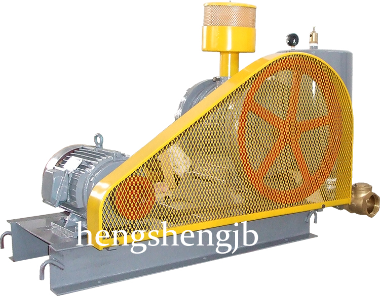 HC-100S水處理曝氣風(fēng)機(jī)-回轉(zhuǎn)式風(fēng)機(jī)